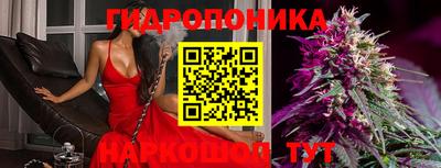 бошки Краснодар