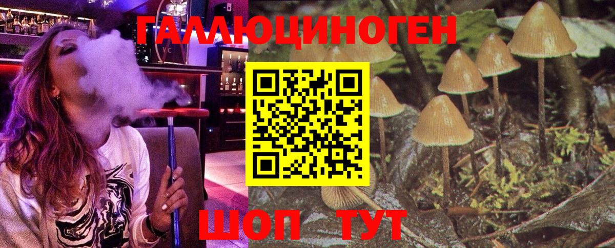 Псилоцибиновые грибы ЛСД Иваново