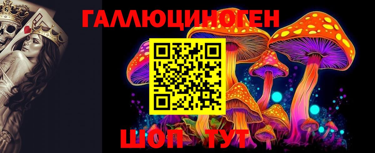 Псилоцибиновые грибы GOLDEN TEACHER  Галлюциногенные грибы мухоморы  Иваново  Вход с VPN 